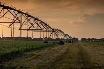 Irrigation system in field