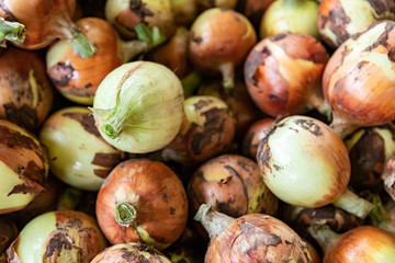 Full frame close up of a bunch of onions. Natural daylight. For wallpaper or background use. Organic vegetables at the local food market. Selective focus.