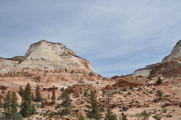 Fototapeta na wymiar Red Rock Mountains in Zion National Park