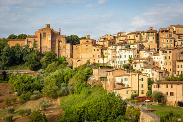 Fototapeta na wymiar a view of typical brown houses at sunrise in Siena city, Tuscany, Italy