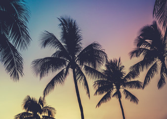 Fototapeta na wymiar Vibrant Retro Hawaii Sunset Palm Trees