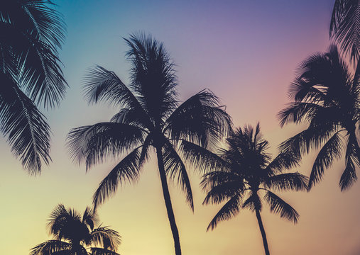 Vibrant Retro Hawaii Sunset Palm Trees