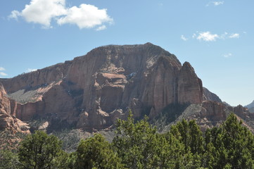 Fototapeta na wymiar Red Rock Mountain near Zion National Park