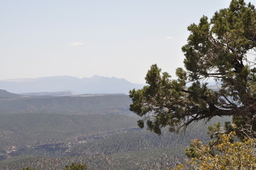 Kolob Hike View Zion National Park