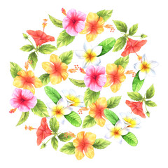 Hibiscus, plumeria and leaves in circle composition on white background. watercolor illustration. Perfect for invitation cards, greeting cards, print etc