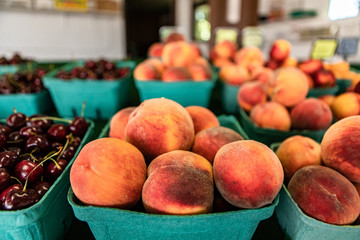 Close up neatly arranged rows of green cardboard boxes filled with peaches. Fresh plump fruit on...