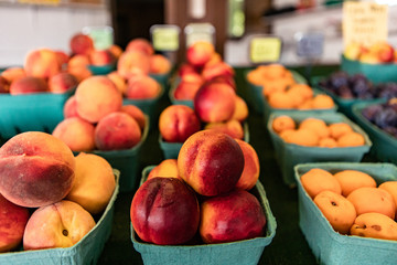 Close up neatly arranged green cardboard boxes of bright red and orange peaches. Fresh plump fruit on sale at the local market. Selective focus.