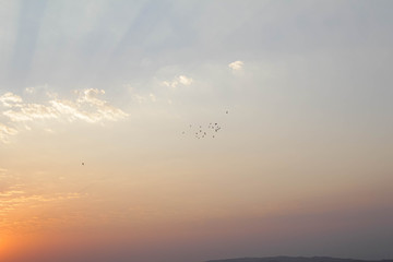 Sunset and birds 