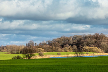 hilly green field with brown forest on the horizon under a cloudy sky