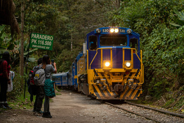 treno per la giungla