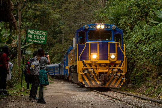 treno per la giungla