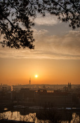 prague tv tower at sunrise wirh roofs and birds flying