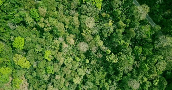Arial Shot from Chae Son National Park View Point.
