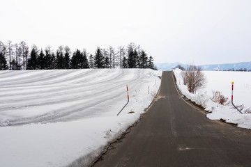 融雪剤がまかれた雪の畑と道路