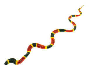 Coral snake toy
