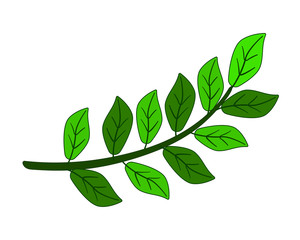 Bright, green, curved branch with leaves - vector full color picture. Fresh, spring, juicy green leaves - a decor element for web and printing. Plants and Gardening.