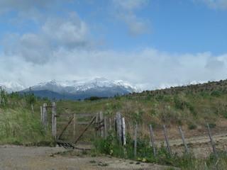 Fototapeta na wymiar Route 259, going up the mountain towards Los Alerces National Park