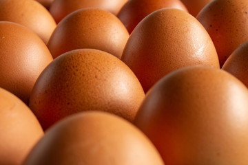 Numerous eggs organized in rows. Concept of organization and power. Organic food