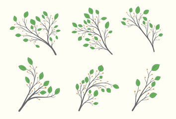 Set of branches with green leaves of different shapes and orange berries on a light background