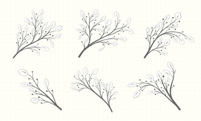 A set of branches with leaves of different shapes and berries in a gray tone on a notebook sheet in vintage style