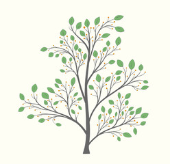 Blooming tree with green leaves and berries on a light background