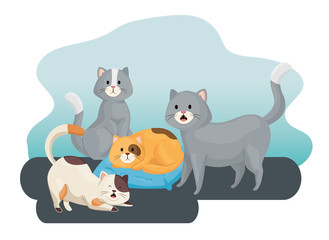 group of little cats animals vector illustration design