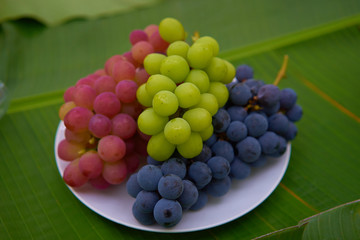 colorful grapes in yamanashi, japan