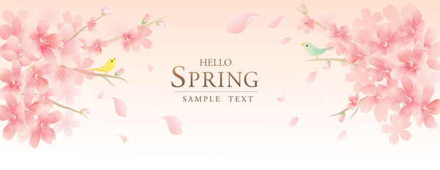 Fototapeta na wymiar 春の花　桜　ベクターイラスト素材　　spring flowers vector illustration Background