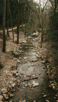 La Estanzuela