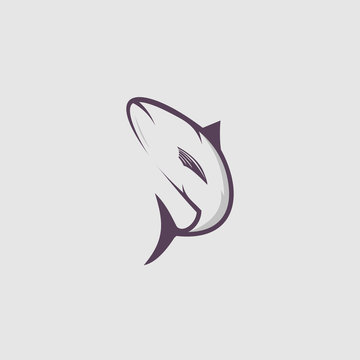 fishing logo design template illustration