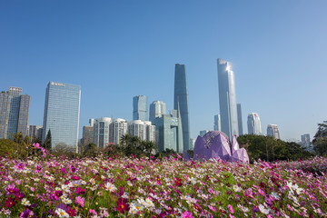Flowers and skyscrapers in Guangzhou Park, China