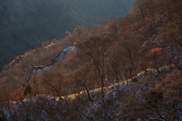 霧降高原の六方沢橋（日光　日本）のアカヤシオツツジと雪景色