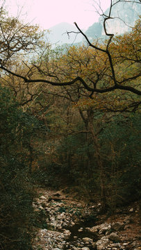 La Estanzuela