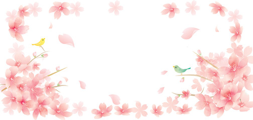 Obraz na płótnie Canvas 春の花　桜のベクターイラスト　spring cherry blossom　background