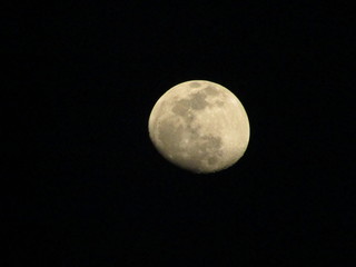 moon