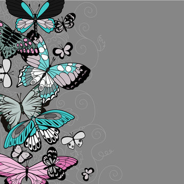 Butterfly seamless card. Flying insects background, cute butterflies silhouette icons