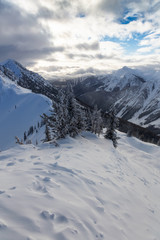 Obraz premium Kicking Horse, Golden, British Columbia, Canada. Beautiful View of Canadian Mountain Landscape during a vibrant sunny and cloudy morning sunrise in winter.