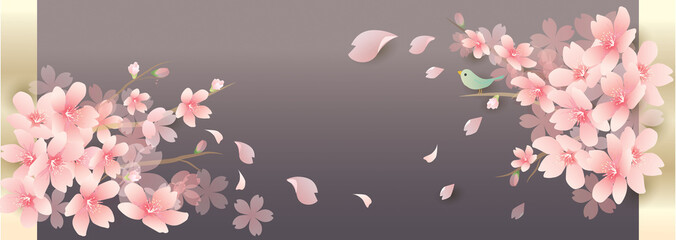 春の花　桜　spring cherry blossom　background © marumaru