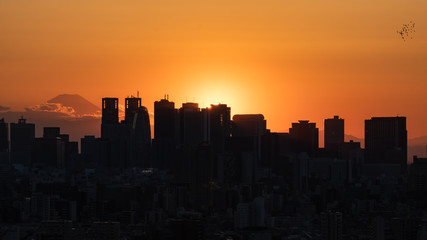 夕日を背景に文京区から見た新宿副都心のビル群と富士山