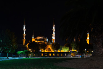 Fototapeta na wymiar Blue Mosque in the city of Istanbul at night, Turkey