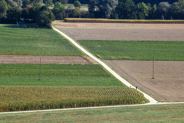 Obraz premium Country Road