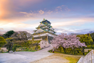 Osaka Castle with full bloom of Sakura in Japan