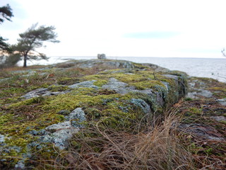 landscape with rocks and blue sky