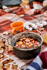 On a large blanket in the forest in autumn on fallen leaves, there is a charred bowler hat after a bonfire with hot mulled wine. Nearby are two mugs and marshmallows on sticks.
