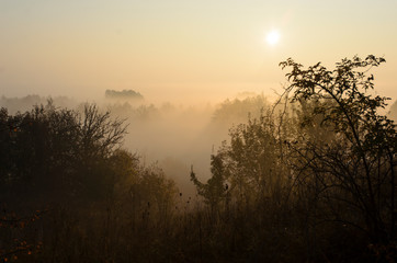 Morning fog on the hills and trees, the magical state of nature, the golden hour of love.