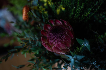 Protea floral arrangment
