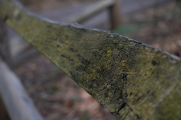 Closeup of a Fence in the Forest