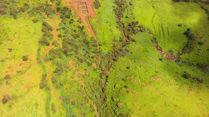 Aerial shot of a forest stream, Satara, Maharashtra, India