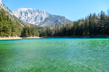 A peaceful view on an Alpine valley in Austria. The valley has a Green Lake in the middle. Early spring in the mountains. There is a high mountain range in the back. Freshness. Few ducks on the lake.