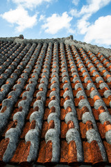 沖縄の赤瓦とシーサー